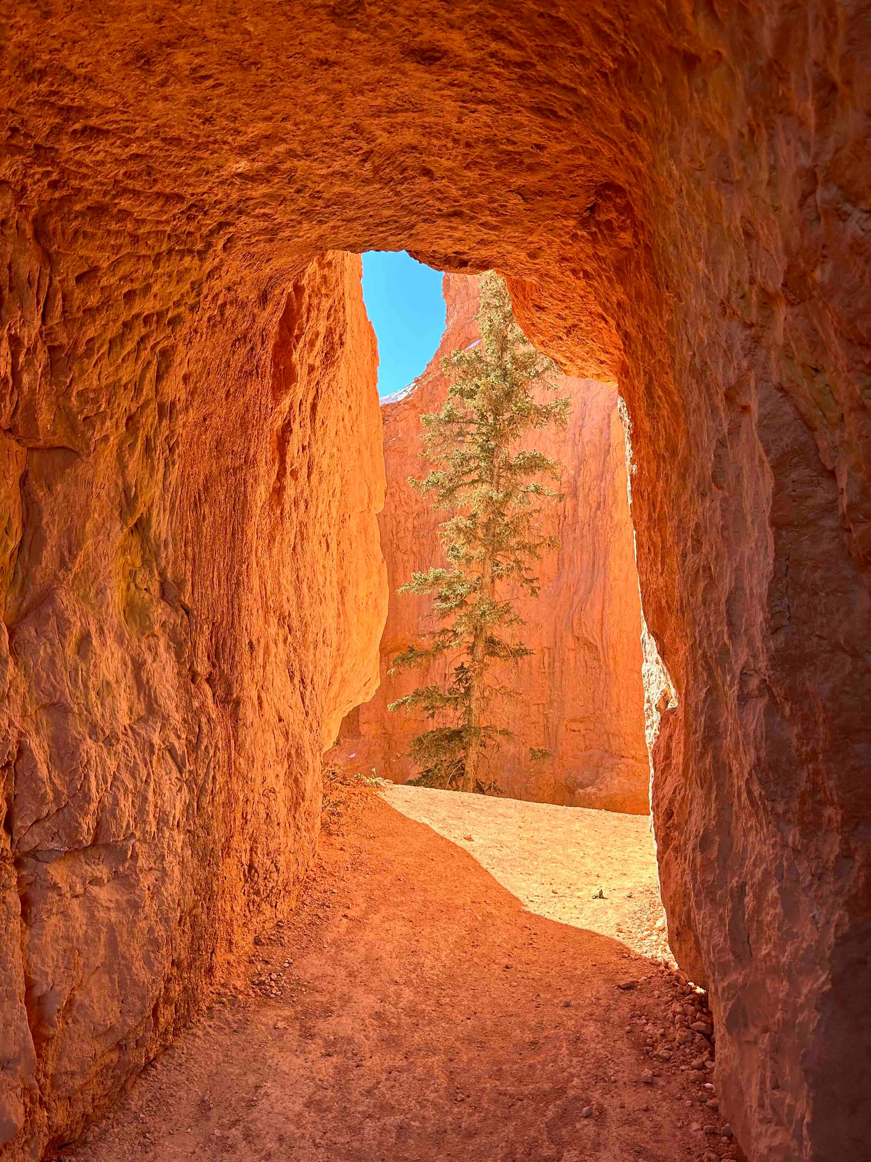 The Future of AI Leadership