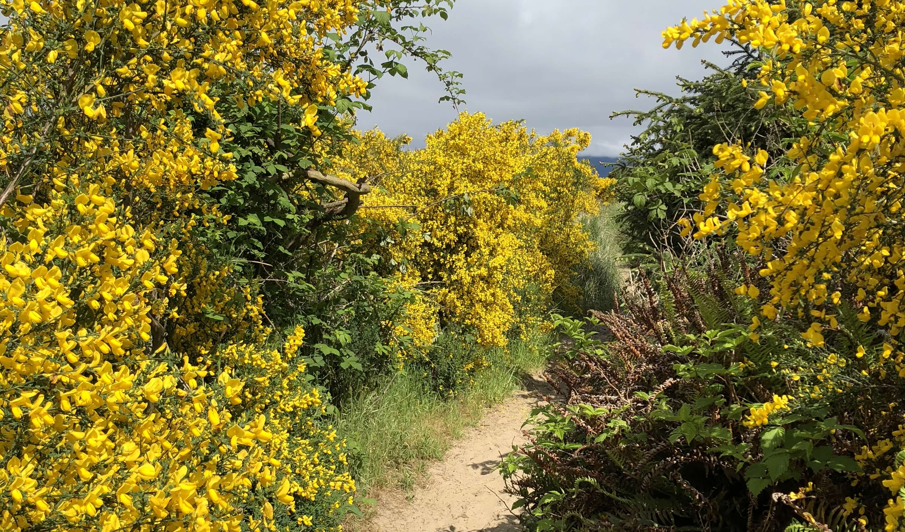 Partnerships Building background